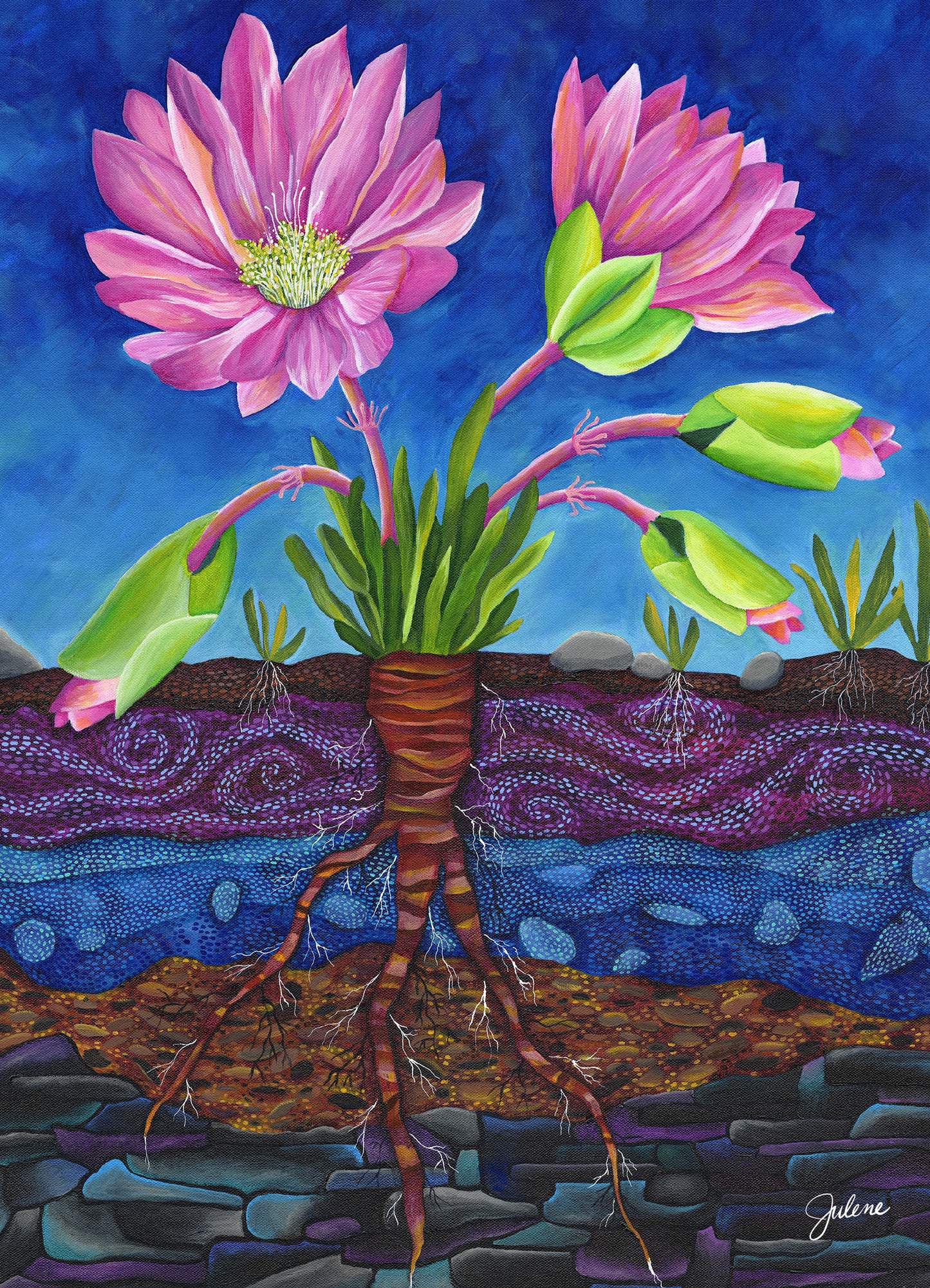 Bitterroot greeting card