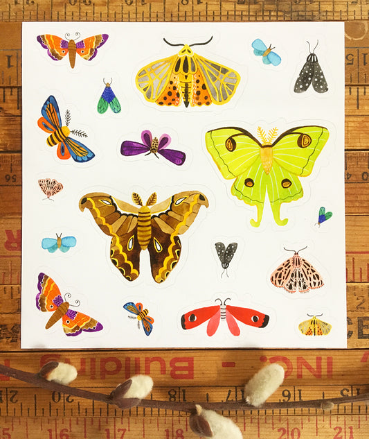 Moth stickers