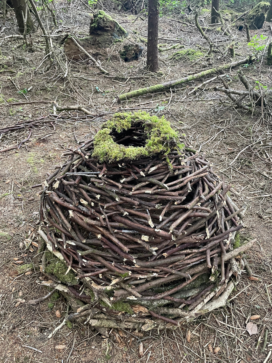 Forest Orb