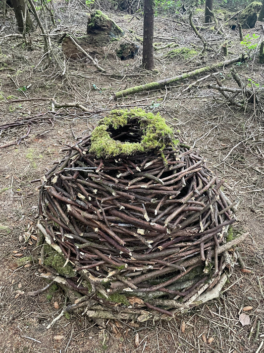 Forest Orb