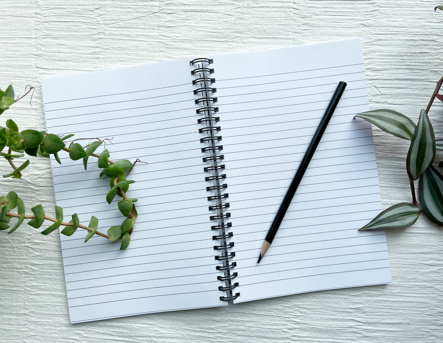 Mushroom Notebook