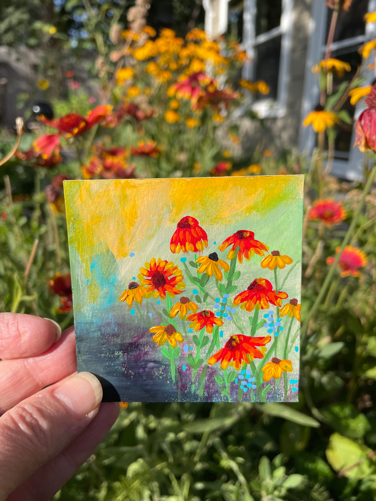 Indian Blanket Flowers - print