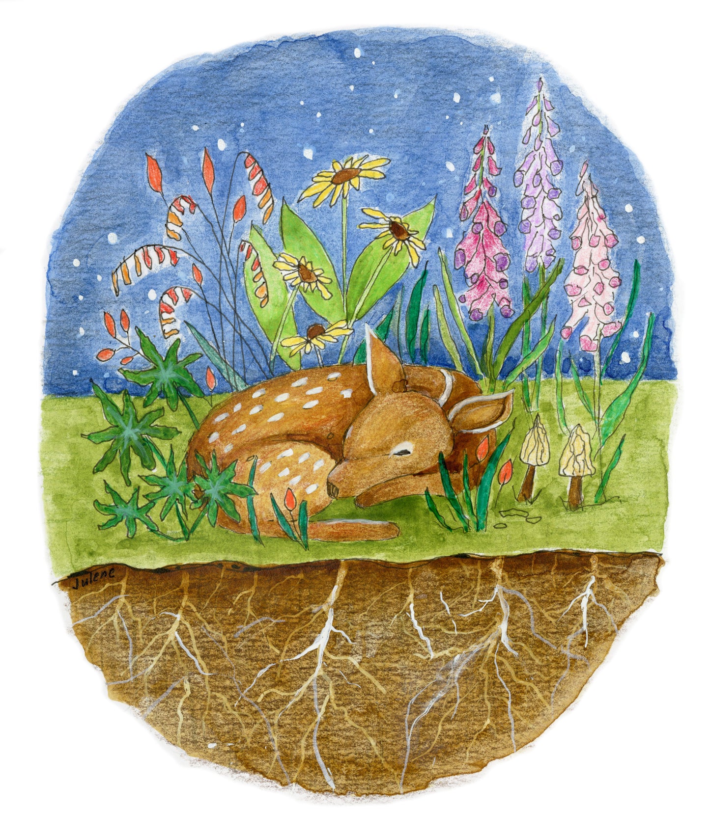 Fawn Roots - original