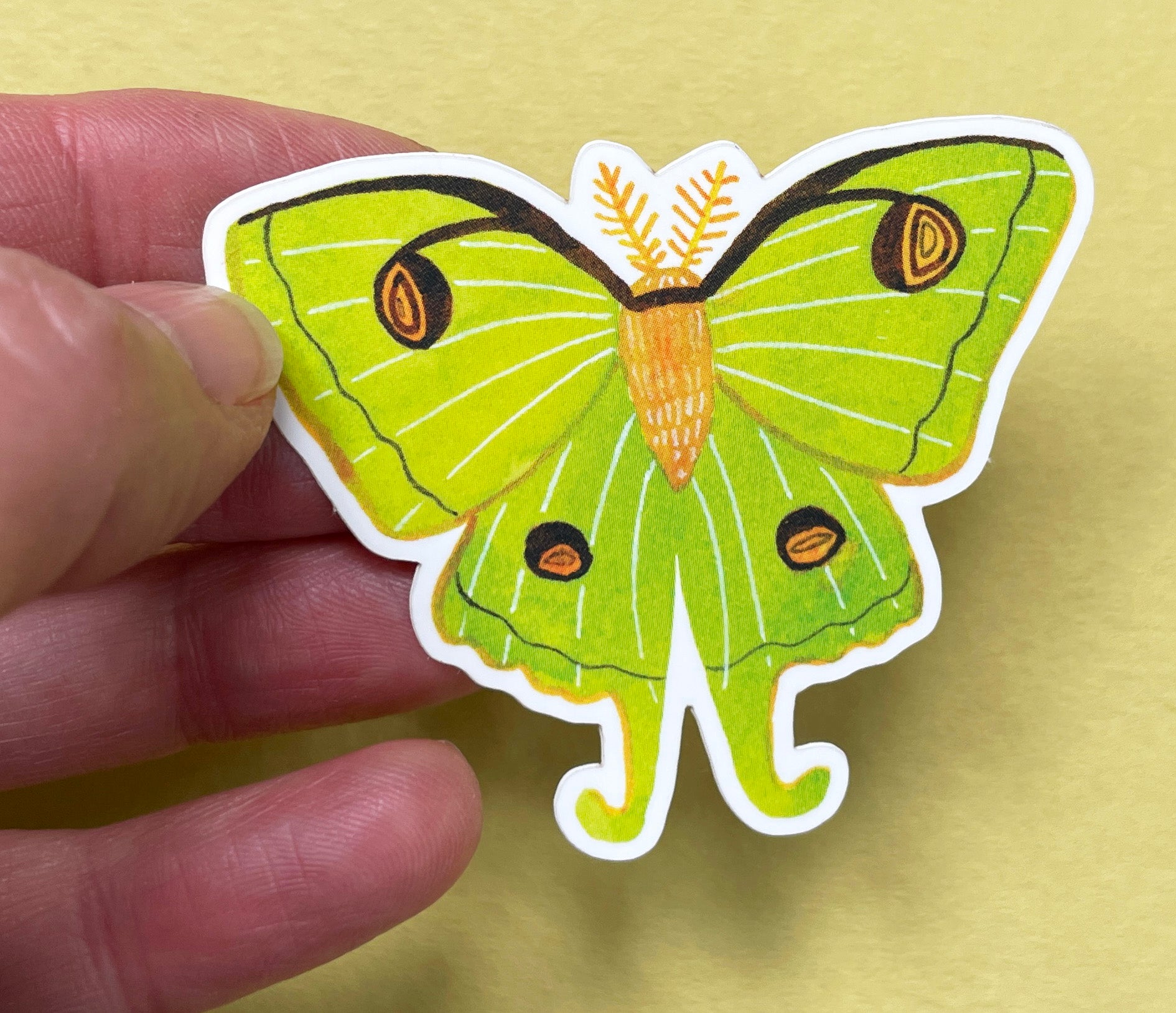 Luna Moth Sticker