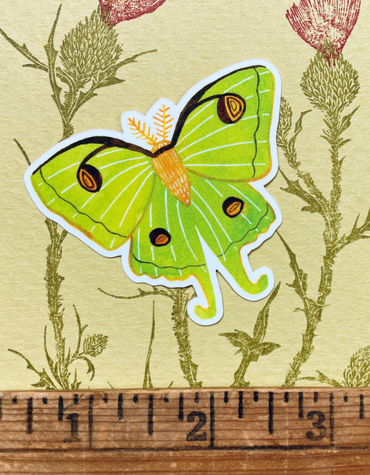 Luna Moth Sticker