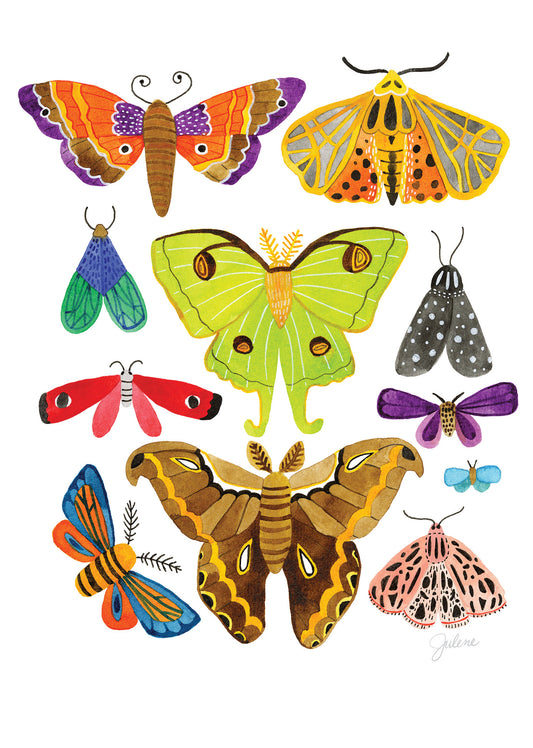 Moths greeting card