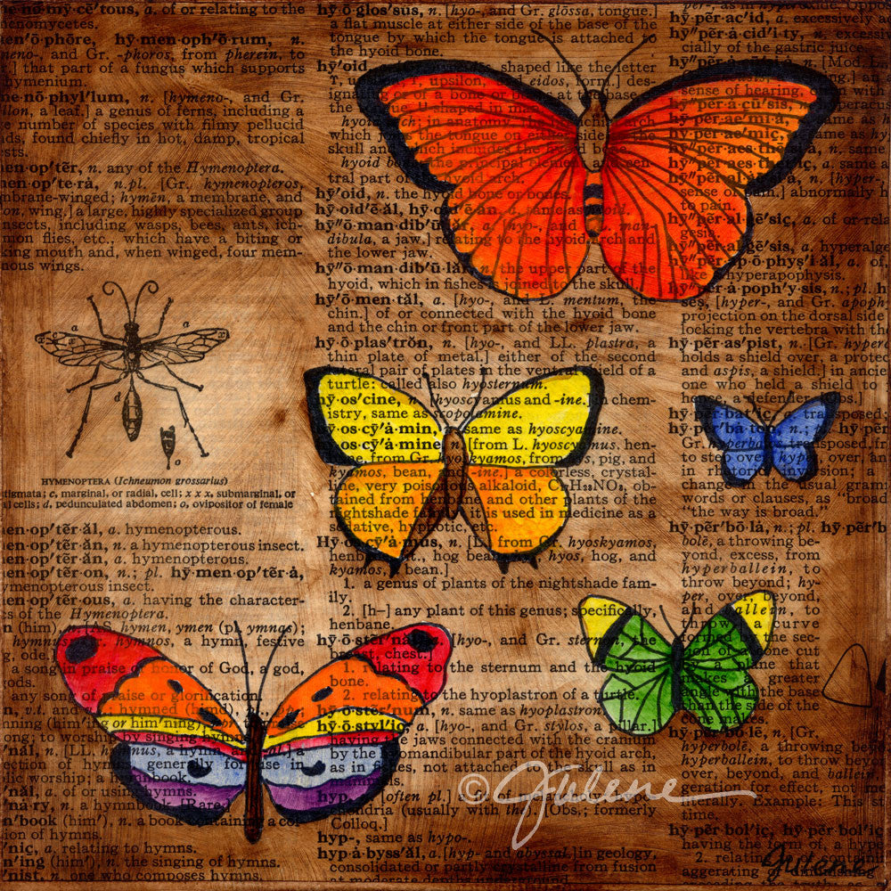 butterfly collector - Print