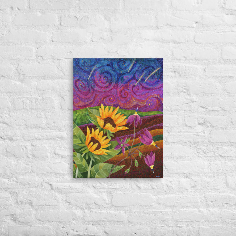 Shooting Star Sanctuary Printed Canvas